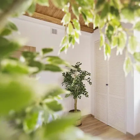 شقة Varmia أولشتين